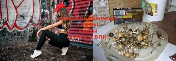 экстази Арсеньев