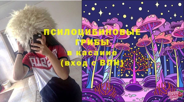 PSILOCYBIN Алзамай