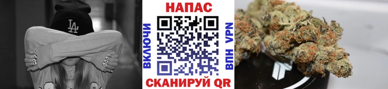 shop формула  Бабушкин  МАРИХУАНА планчик  как найти закладки 